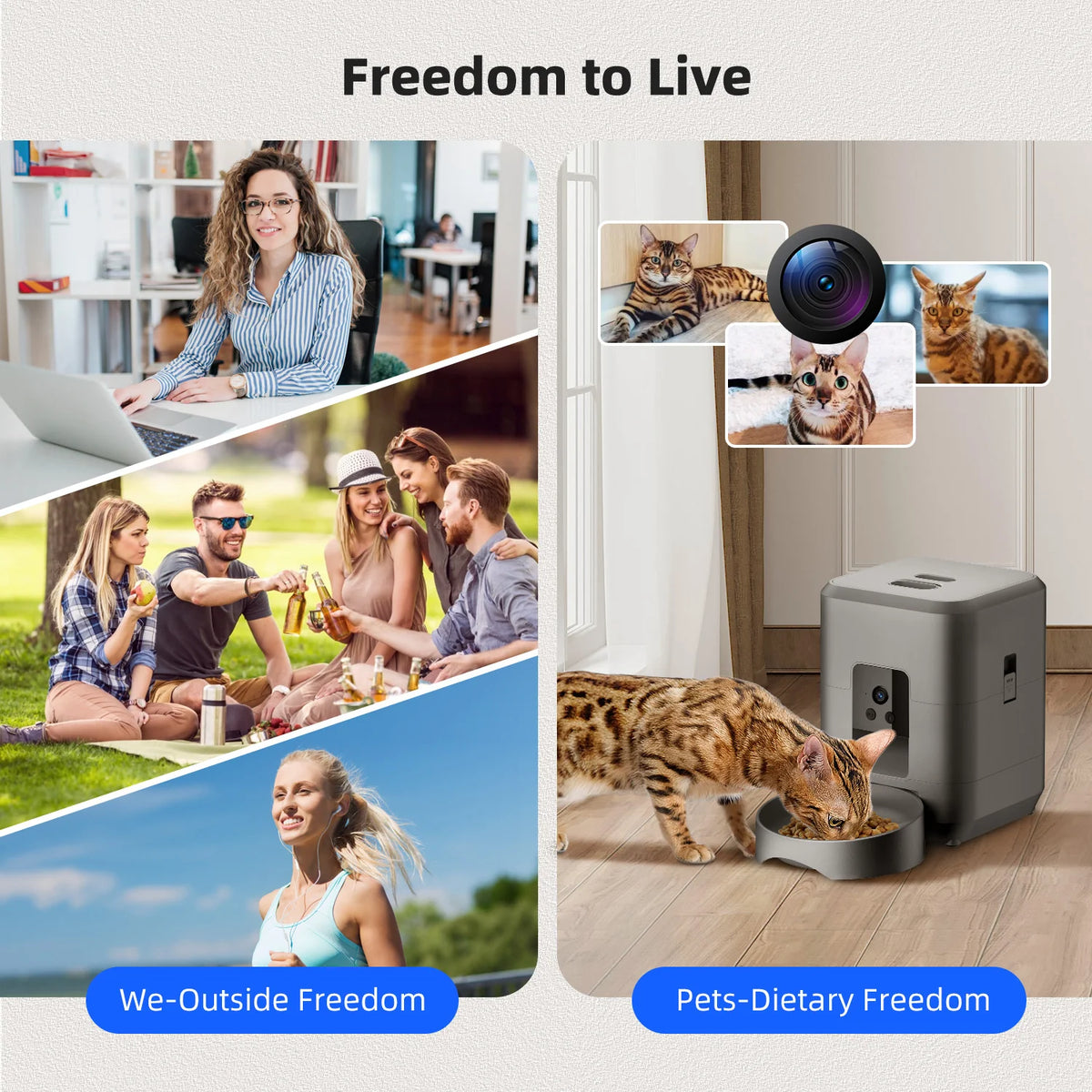 Distributeur de croquettes automatique programmable – Chat