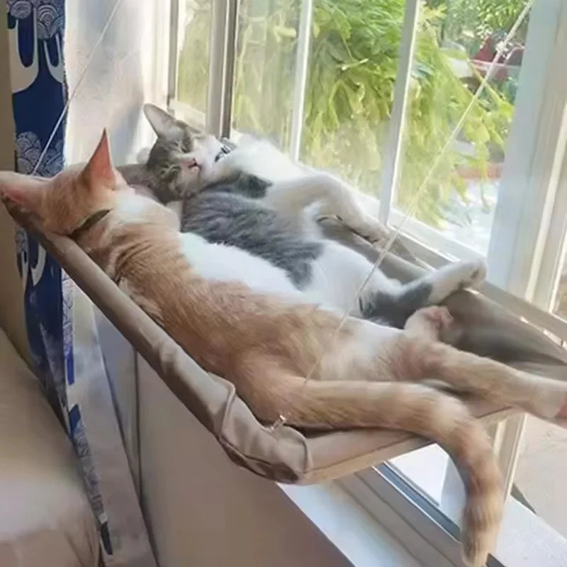 Hamac de fenêtre pour chat – Fixation ventouses