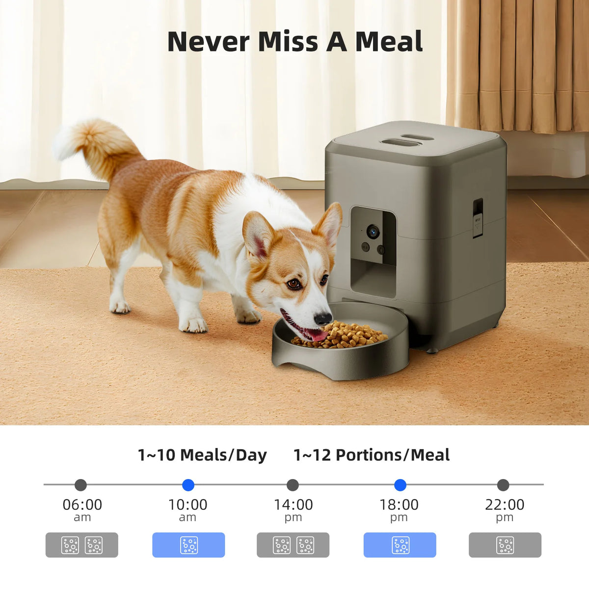 Distributeur de croquettes automatique programmable – Chat